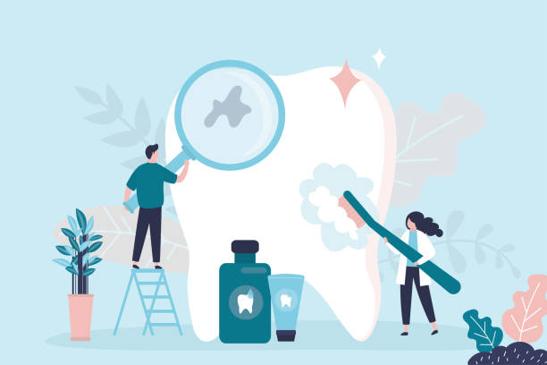 Trusted Mulberry, OH Holistic Dental Care Services Experts